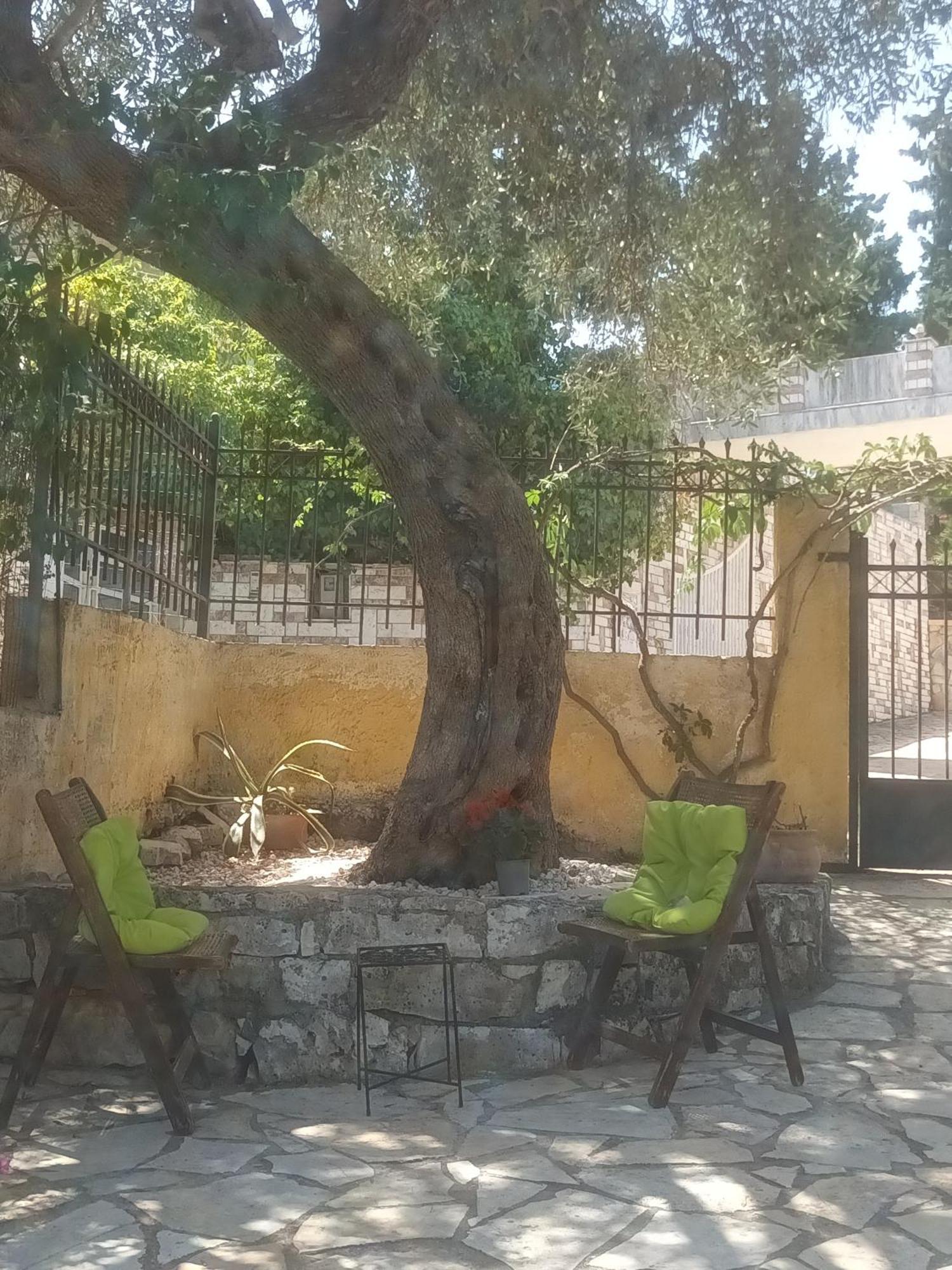 Casa Nonna Traditional * Ozias